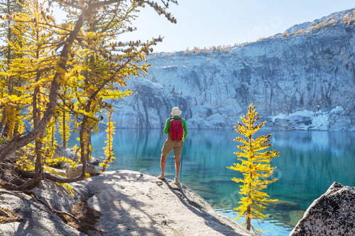Preview: Hike in autumn season