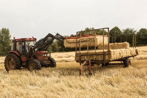 Preview: Tractor and straw baler in wheat field, farmer baling straw.