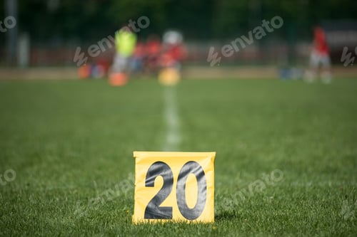 Preview: American football grass field. Line number 20