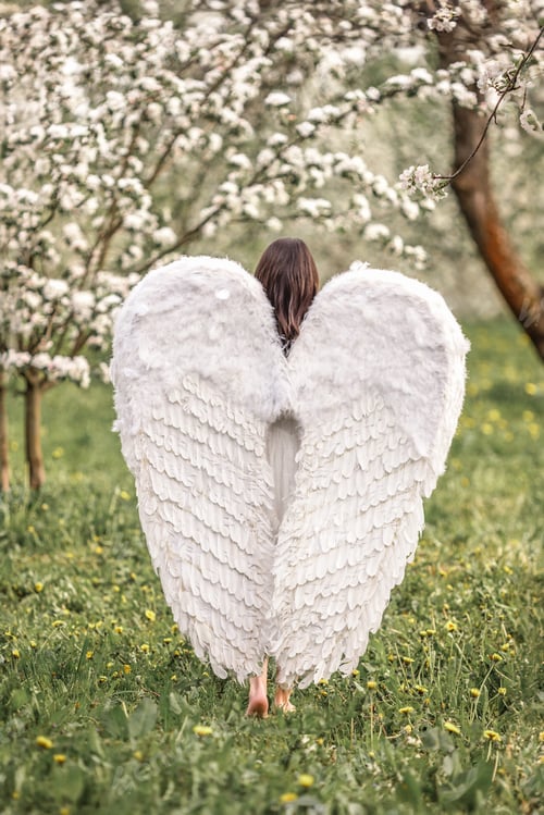 Preview: A beautiful woman angel stands in a blooming apple orchard. Spring