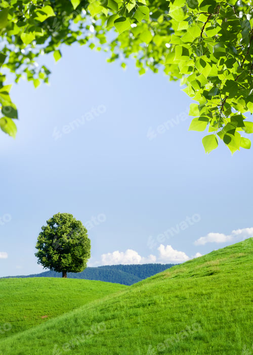 Preview: Beautiful hills, blooming meadows and lonely tree