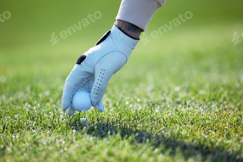 Preview: Hand picking up golf ball
