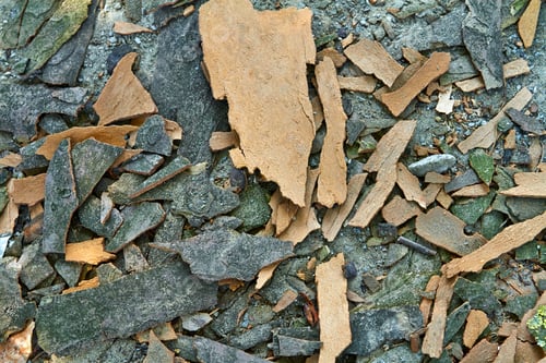 Preview: Bark of a tree texture background