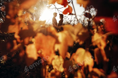 Preview: Pregnant couple holding hands on belly in sunny light in autumn park among leaves