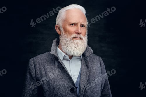 Preview: Well dressed elderly man with stylish hairstyle and long beard
