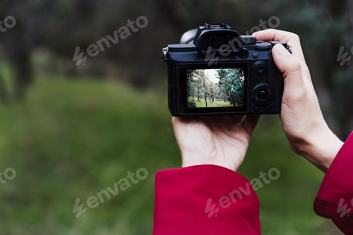 Preview: backpacker caucasian woman taking picture with camera in forest during winter or autumn