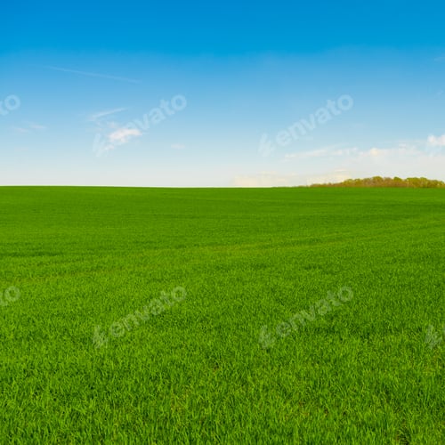 Preview: Idyllic grassland, rolling green fields, blue sky and white clouds in the background