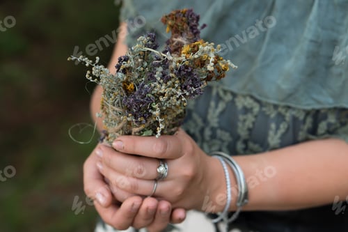 Preview: Natural dry herbs and flowers in hands