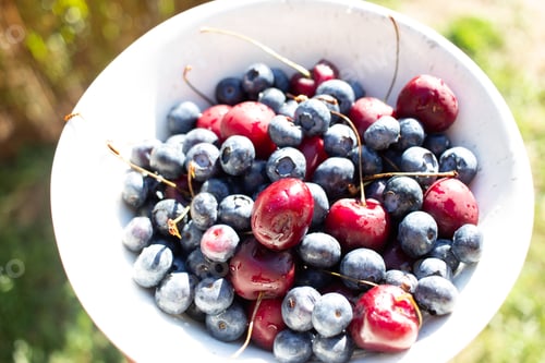 Preview: Fresh Cherries and Blueberries in a White Bowl