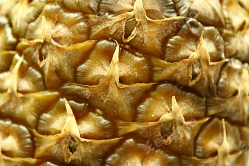 Preview: Texture of ripe pineapple peel