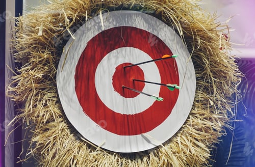 Preview: Arrow & the target : archery target with arrows stuck in the middle