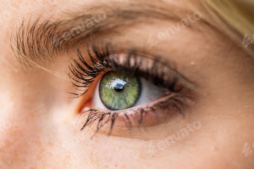 Preview: Closeup of an attractive female's bright green eyes with long voluminous eyelashes