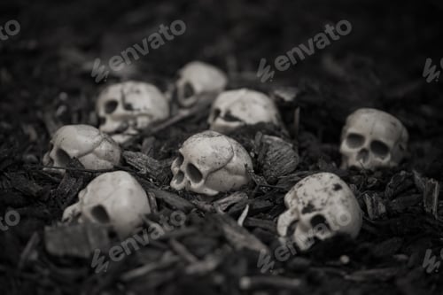 Preview: Heap of human skulls on ground