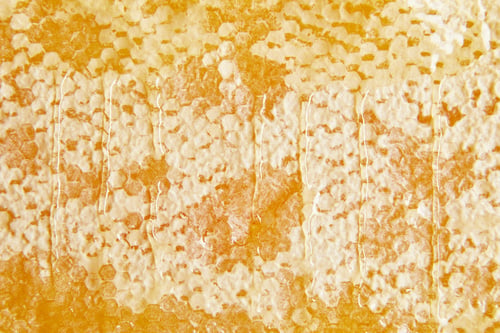 Preview: full frame of sweet beeswax with honey as background