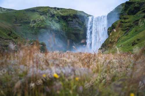 Preview: The most popular waterfall in Iceland - Skogafoss. Grass field in defocused foreground