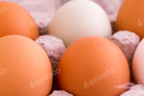 Close Up of Brown and White Eggs