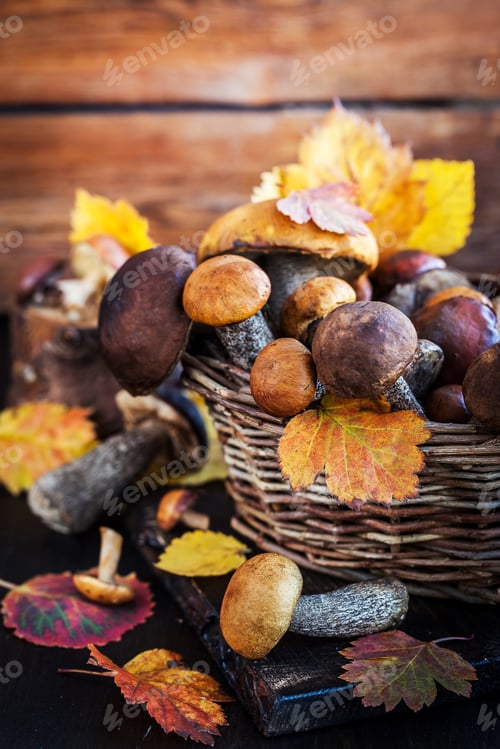 Preview: Wild forest edible mushrooms (boletus) in basket