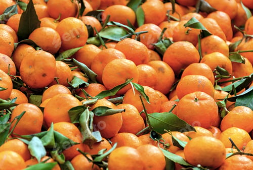 Preview: Pile of Mandarin oranges for sale on local farmers market stall.