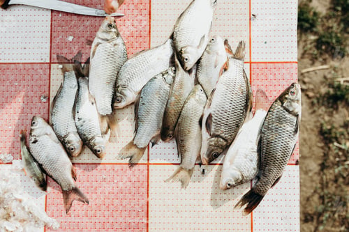 Preview: Unpeeled fresh river fish on the table.