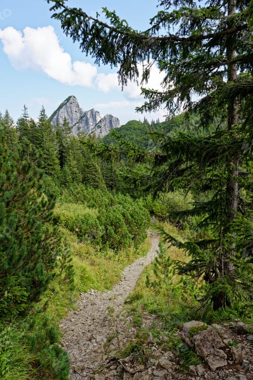 Preview: Scenic mountain trail with lush greenery and peaks.