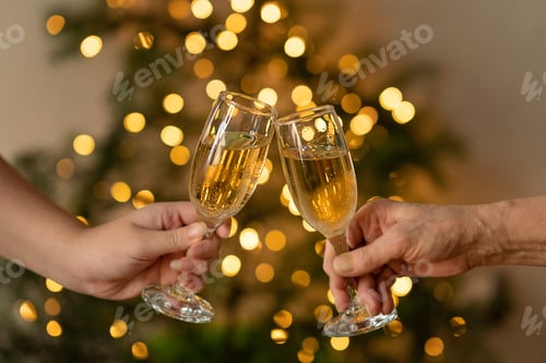 Preview: two women of different ages hold wineglasses of champagne in their hands, celebrate a joyful event
