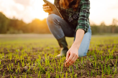 Preview: Farmer woman in boots checks the quality of the soil before sowing in her hands with digital tablet.