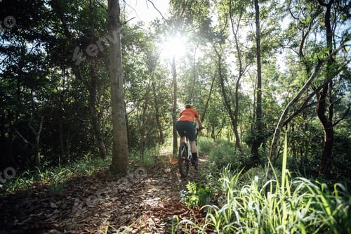 Preview: Mountain biking in summer forest