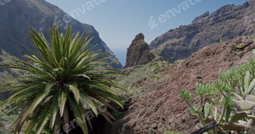 Preview: Masca Gorge and village on the island of Tenerife, Canary Islands, Spain