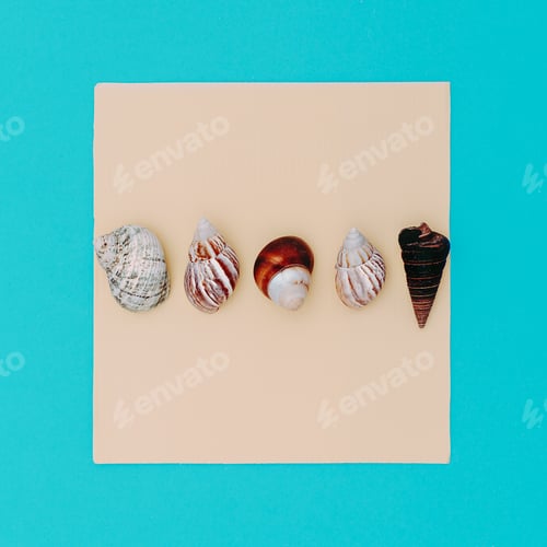 Preview: Set shells Beach sea style. Minimal