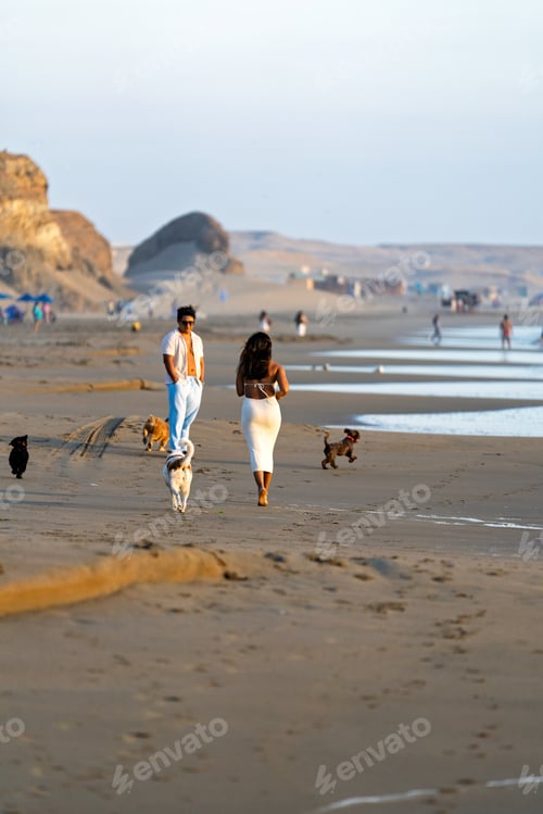 Preview: Young couple walking dogs on a sandy beach