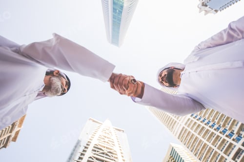 Preview: Businessmen handshaking after a successful business deal
