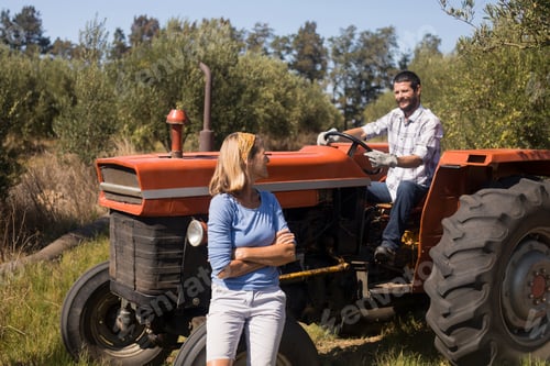 Preview: Couple interacting in olive farm