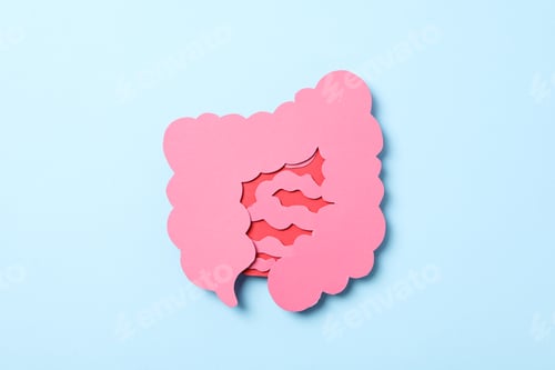 Preview: Concept of health care, stomach and intestinal problems