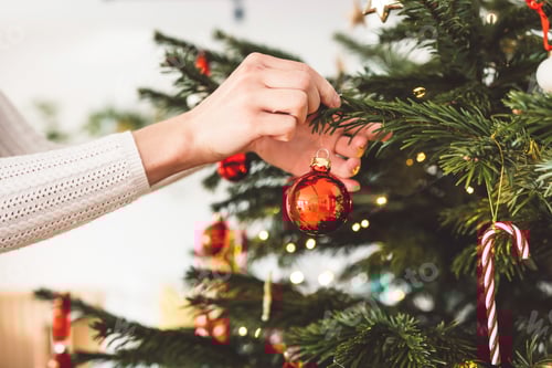 Preview: Woman hand holding a red ornament putting it on the Christmas tree