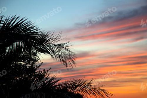 Preview: Sunset