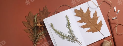 Preview: Dried pressed leaf on paper from notebook with pencil , scissors and twine on brown background.