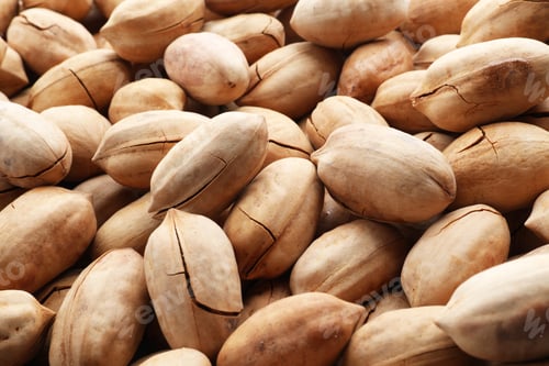 Preview: Pecan nuts in shell as background. Nutritive food