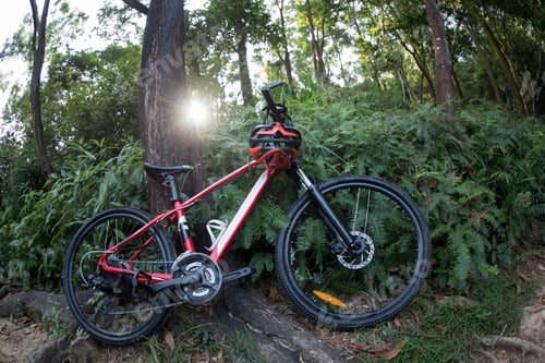 Preview: Cross country biking in forest