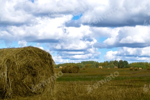 Preview: Farm field with stacks of straw