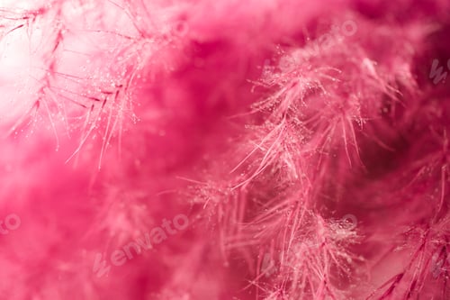 Preview: Living coral feather abstract background. Studio macro shoot.