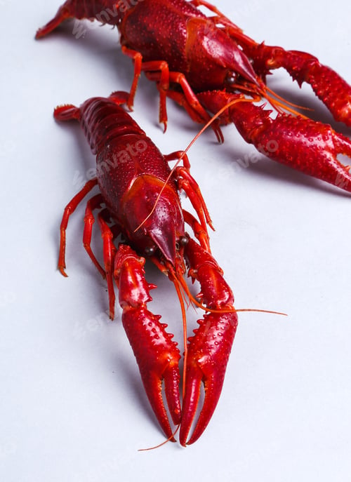Preview: Delicious crayfish