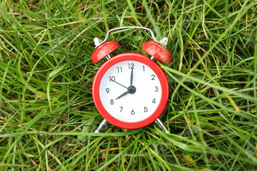 Preview: Alarm clock on green grass background. Springtime
