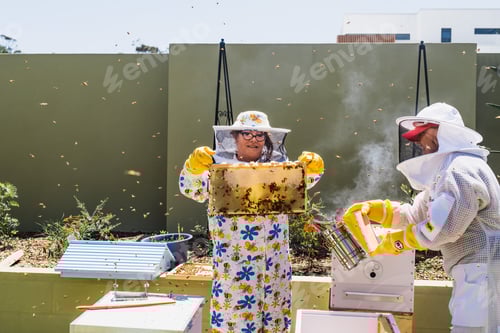 Preview: Two women beekeepers work with beehives