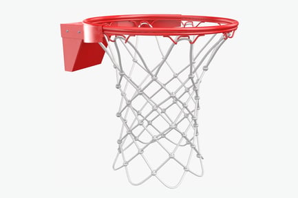 Preview: Regulation Basketball Hoop with Net