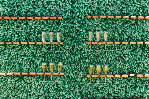 Preview: Glass of champagne are mounted on a stand on a vertical green lawn wall.