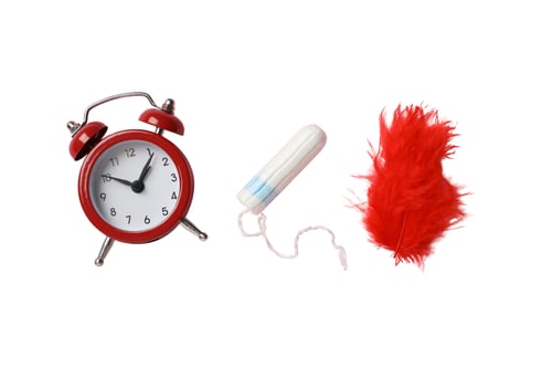 Preview: Feminine hygiene items: red alarm clock, tampon, and red feather, isolated on white