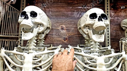 Preview: Holiday decorating made easy at retail store and happy faces on rack of bones.