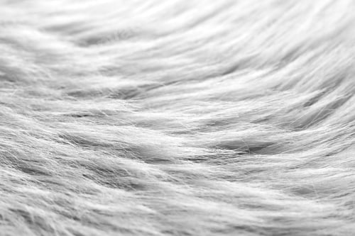 Preview: White faux fur as background, closeup view