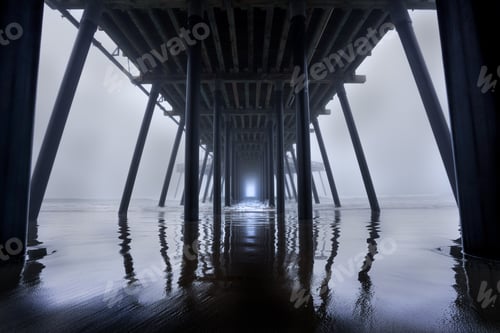 Preview: Into the Fog