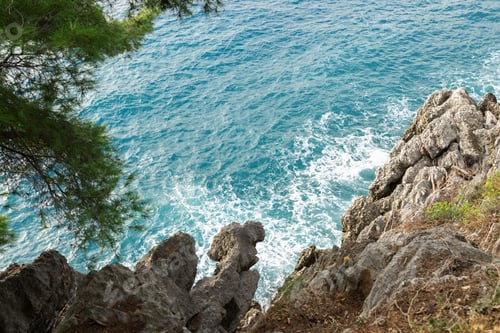 Preview: Foamy sea surf at the rocks with pine trees, copy space